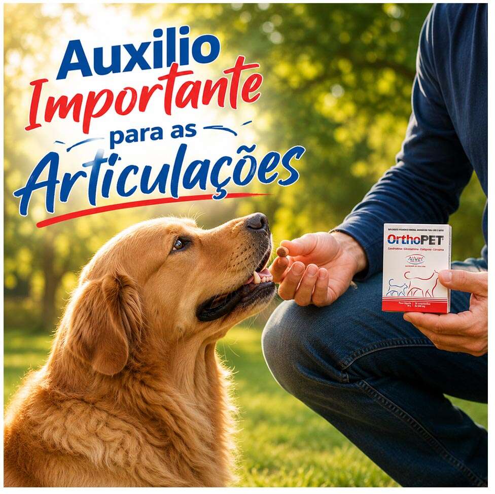 Suplemento Vitamínico Alivet OrthoPet Condroitina e Glicosamina para Cães e Gatos - 30 Cápsulas
