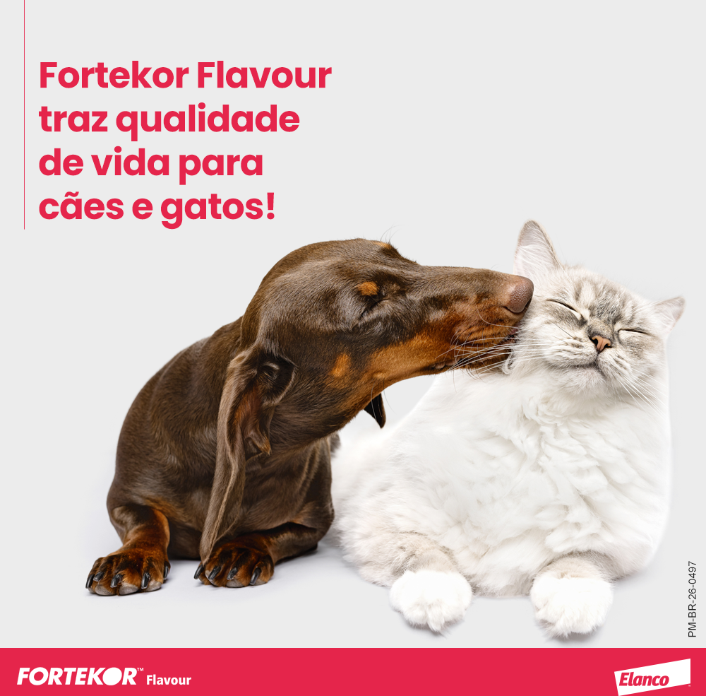 Tratamento para Insuficiências Elanco Fortekor Flavour - 5 mg