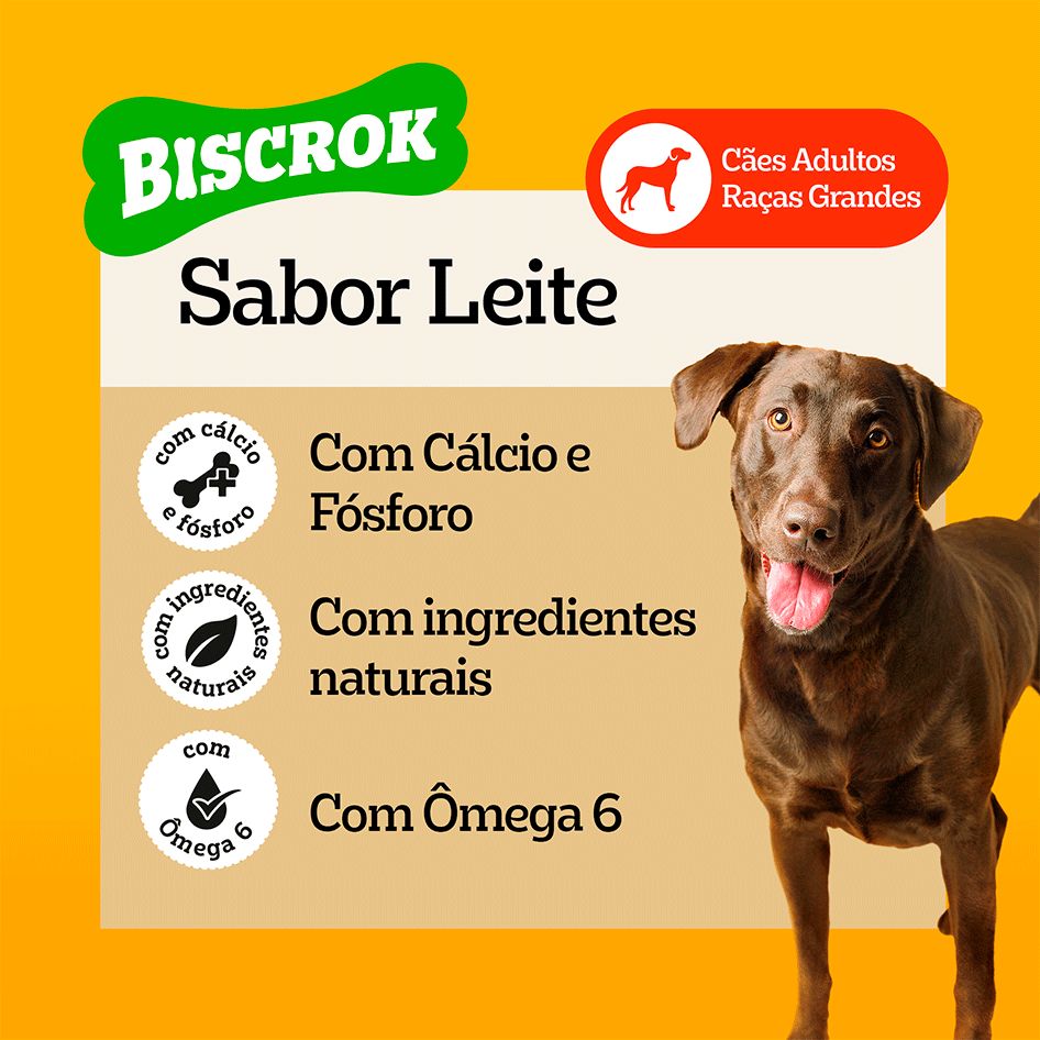 Biscoito Pedigree Biscrok para Cães Adultos Porte Grande Sabor Leite Maxi - 1Kg
