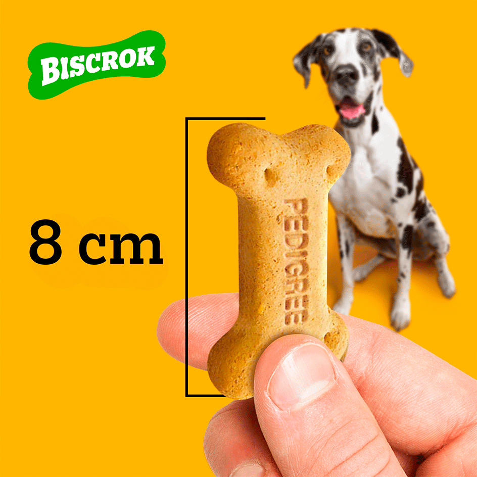 Biscoito Pedigree Biscrok para Cães Adultos Porte Grande Sabor Leite Maxi - 1Kg