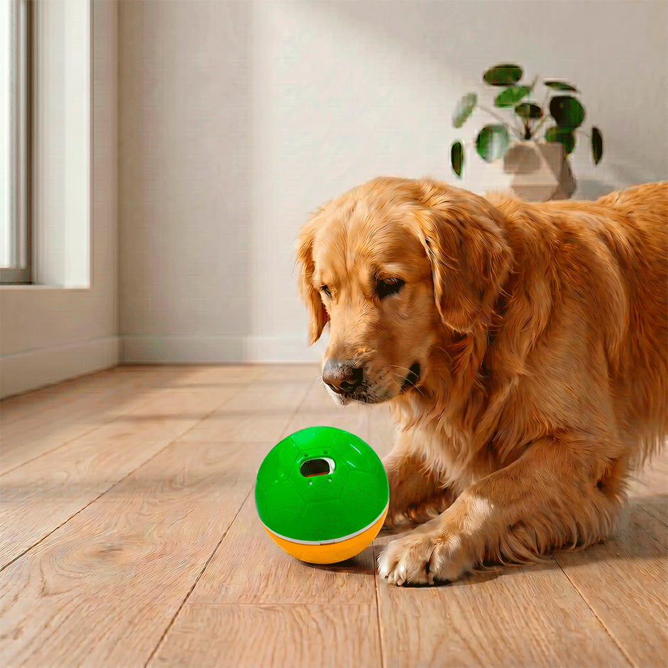 Brinquedo Recheável Amicus Crazy Ball para Cães e Gatos - Tam. G