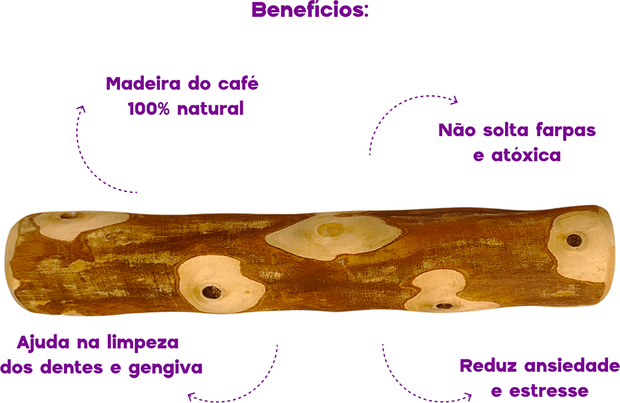 Brinquedo Mordedor Wood Amicus Sustentavel Rústico para Cães - Tam. G