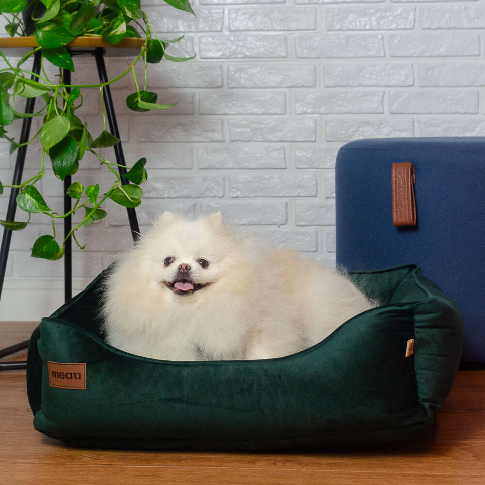 Cama Retangular Meau Veludo Verde - Tam. G
