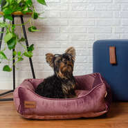 Cama Retangular Meau Veludo Rose - Tam. G
