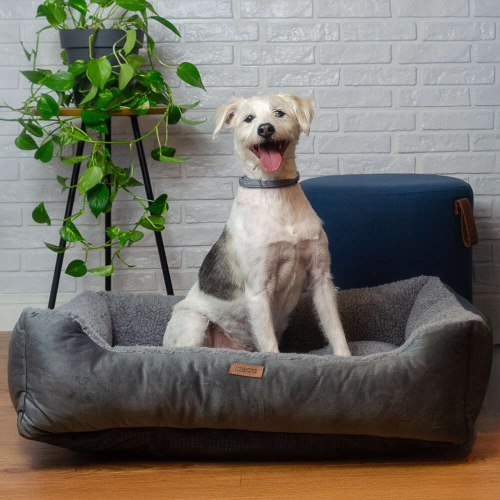 Cama Meau Alpaca Cinza - Tam. EXG