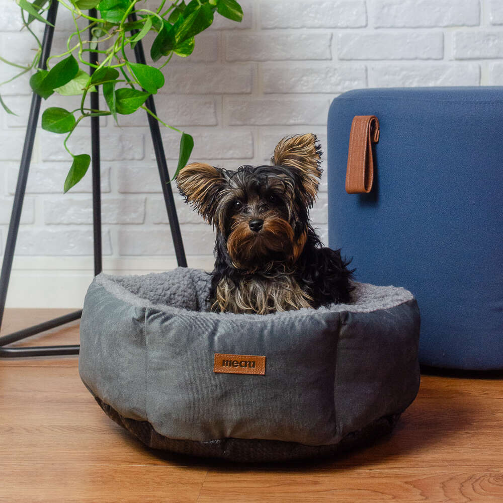 Cama Hexa Meau Alpaca Cinza - Tam. G