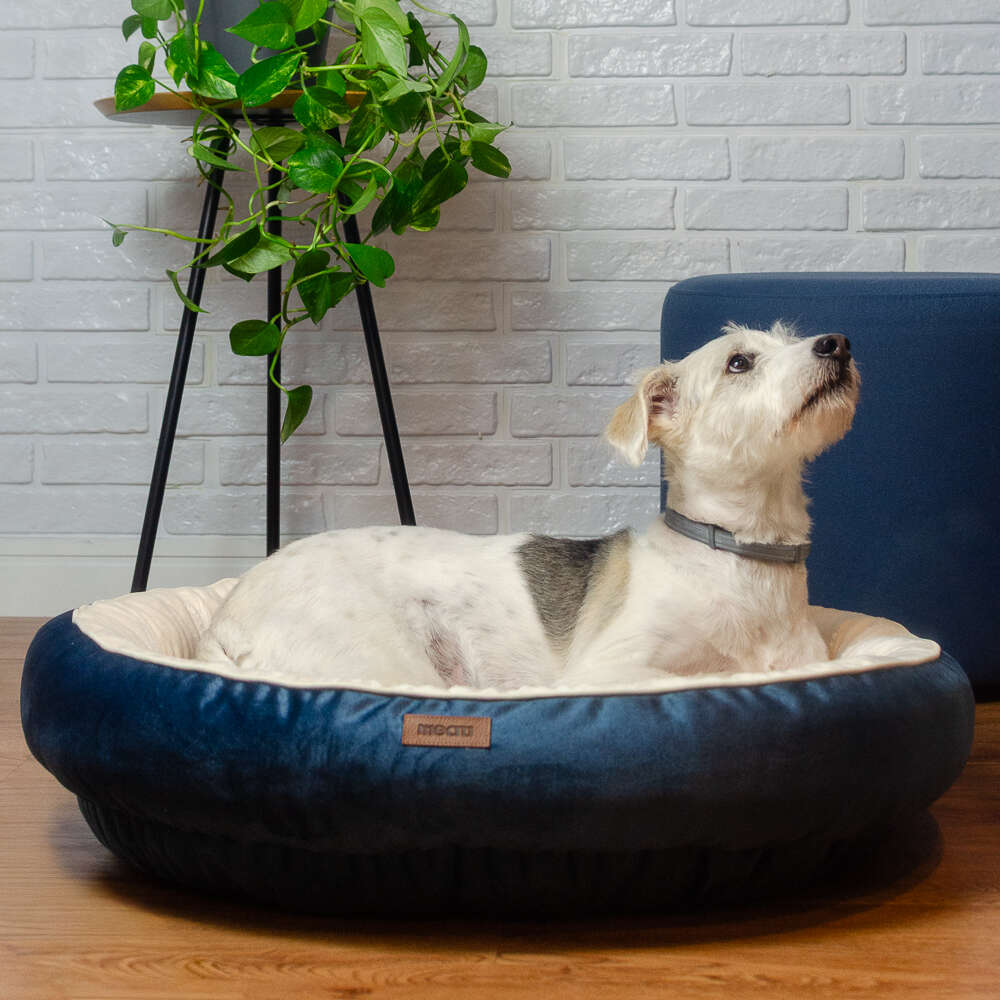 Cama Meau Viena Azul - Tam. EXG