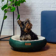 Cama Meau Viena Verde - Tam. EXG