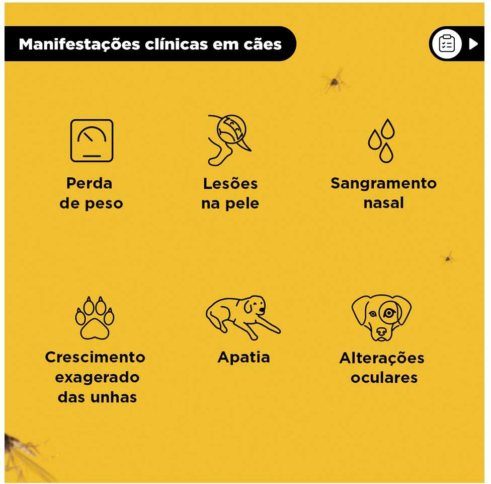 Coleira Antiparasitário MSD Scalibor Tam. P - 48 cm