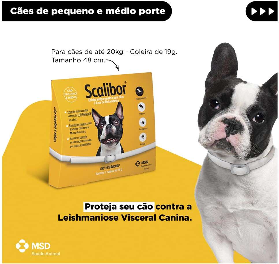 Coleira Antiparasitário MSD Scalibor Tam. P - 48 cm