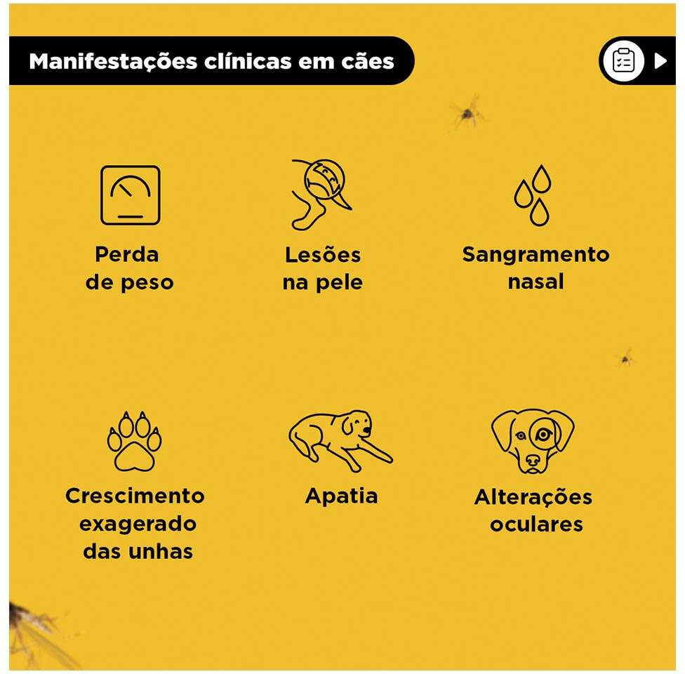 Coleira MSD Scalibor Antiparasitas para Cães - 65 cm