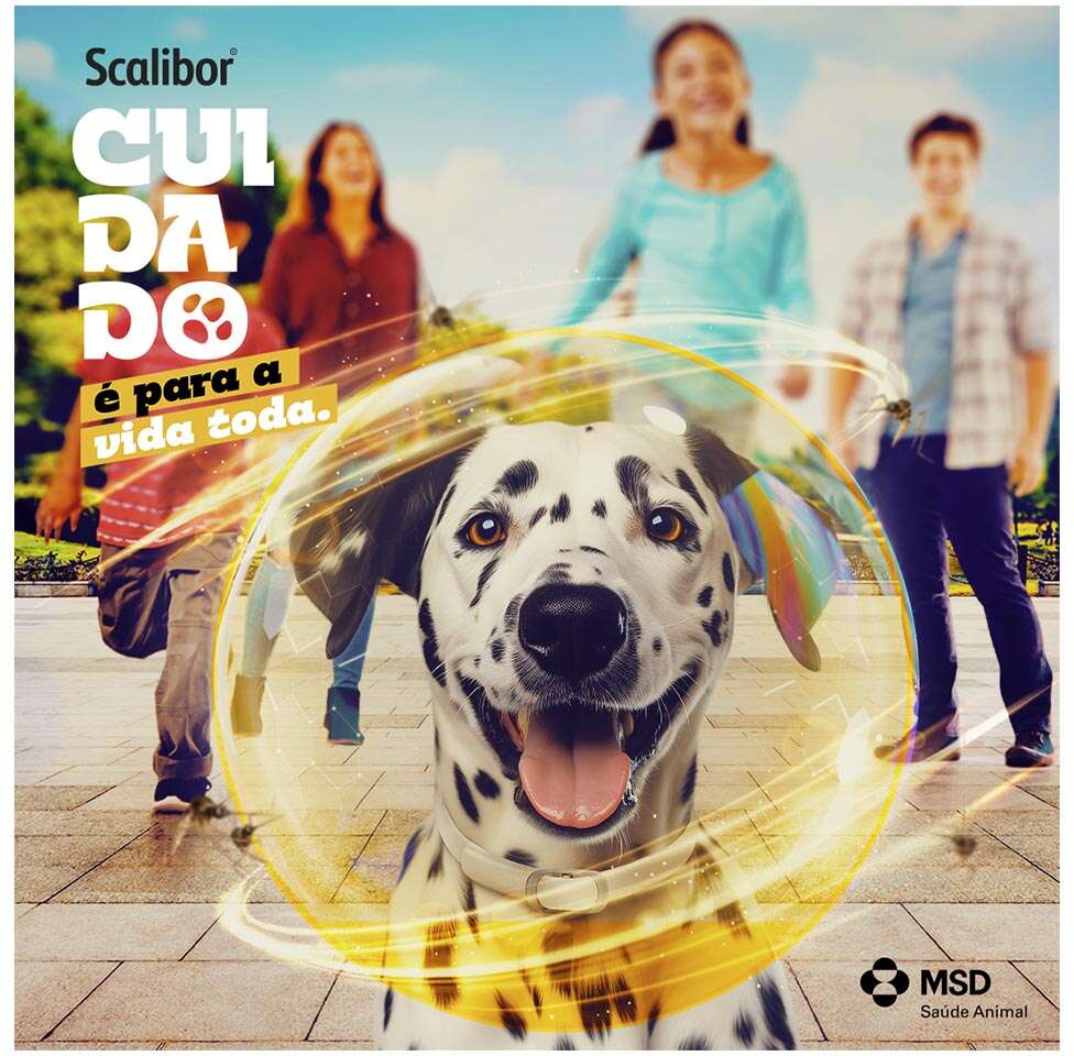 Coleira MSD Scalibor Antiparasitas para Cães - 65 cm