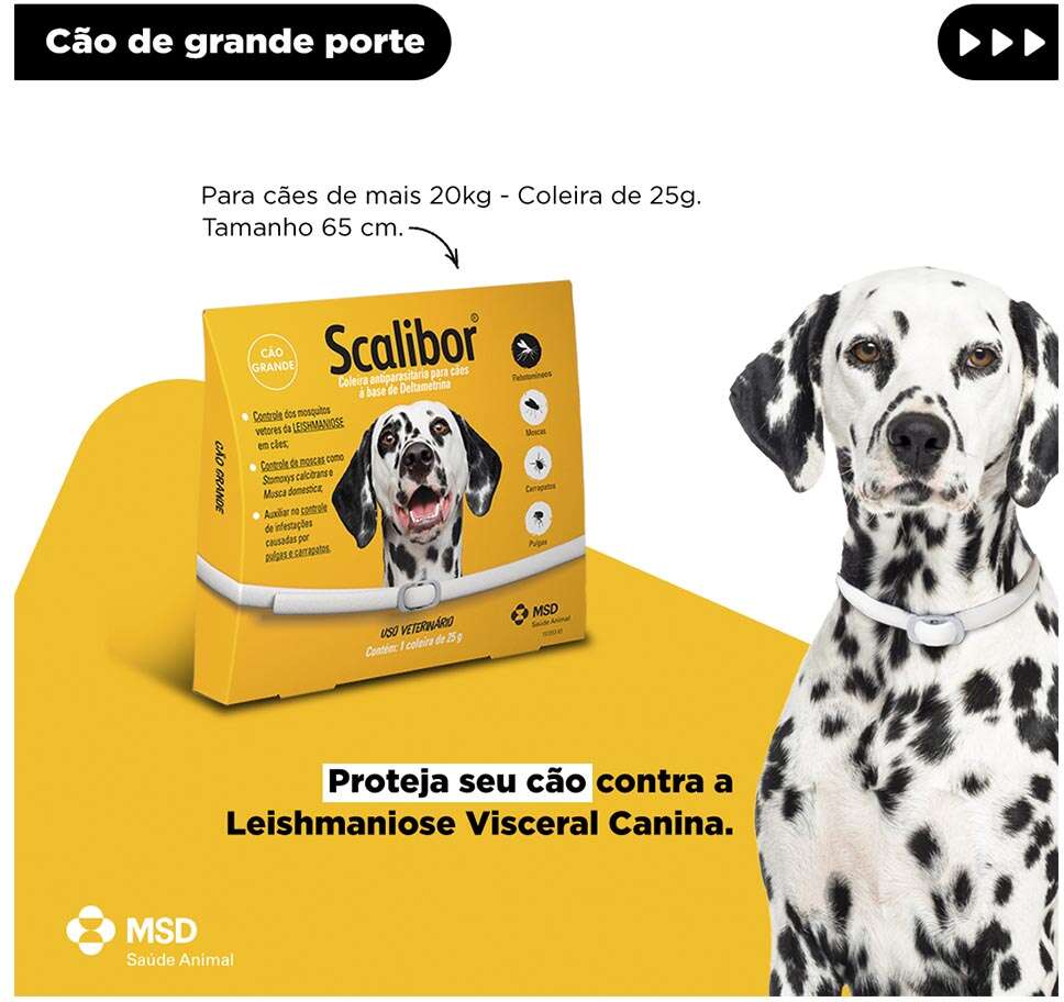 Coleira MSD Scalibor Antiparasitas para Cães - 65 cm