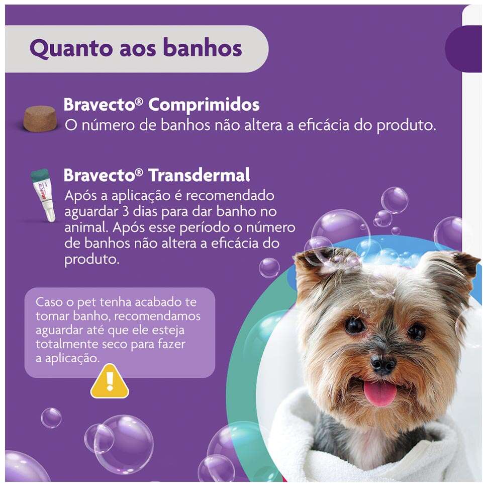 Antipulgas e Carrapatos Bravecto 112,5 mg para Cães de 2 a 4,5Kg - 1 Comprimido