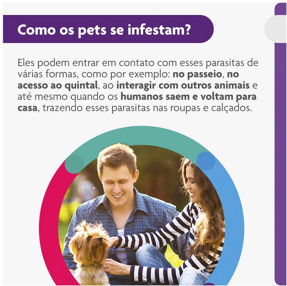 Antipulgas e Carrapatos Bravecto 112,5 mg para Cães de 2 a 4,5Kg - 1 Comprimido