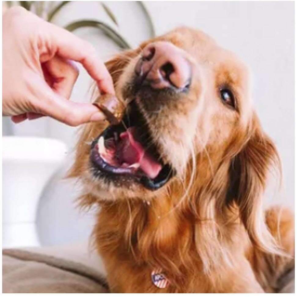 Antipulgas e Carrapatos Bravecto 250 mg para Cães de 4,5 a 10Kg - 1 Comprimido