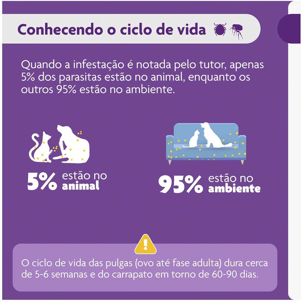 Antipulgas e Carrapatos Bravecto 250 mg para Cães de 4,5 a 10Kg - 1 Comprimido