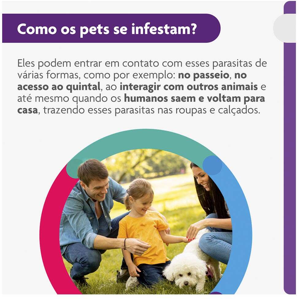 Antipulgas e Carrapatos Bravecto 250 mg para Cães de 4,5 a 10Kg - 1 Comprimido