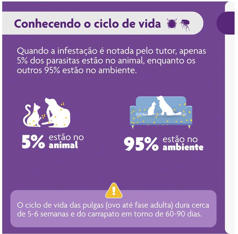 Antipulgas e Carrapatos Bravecto 500 mg para Cães de 10 a 20Kg - 1 Comprimido