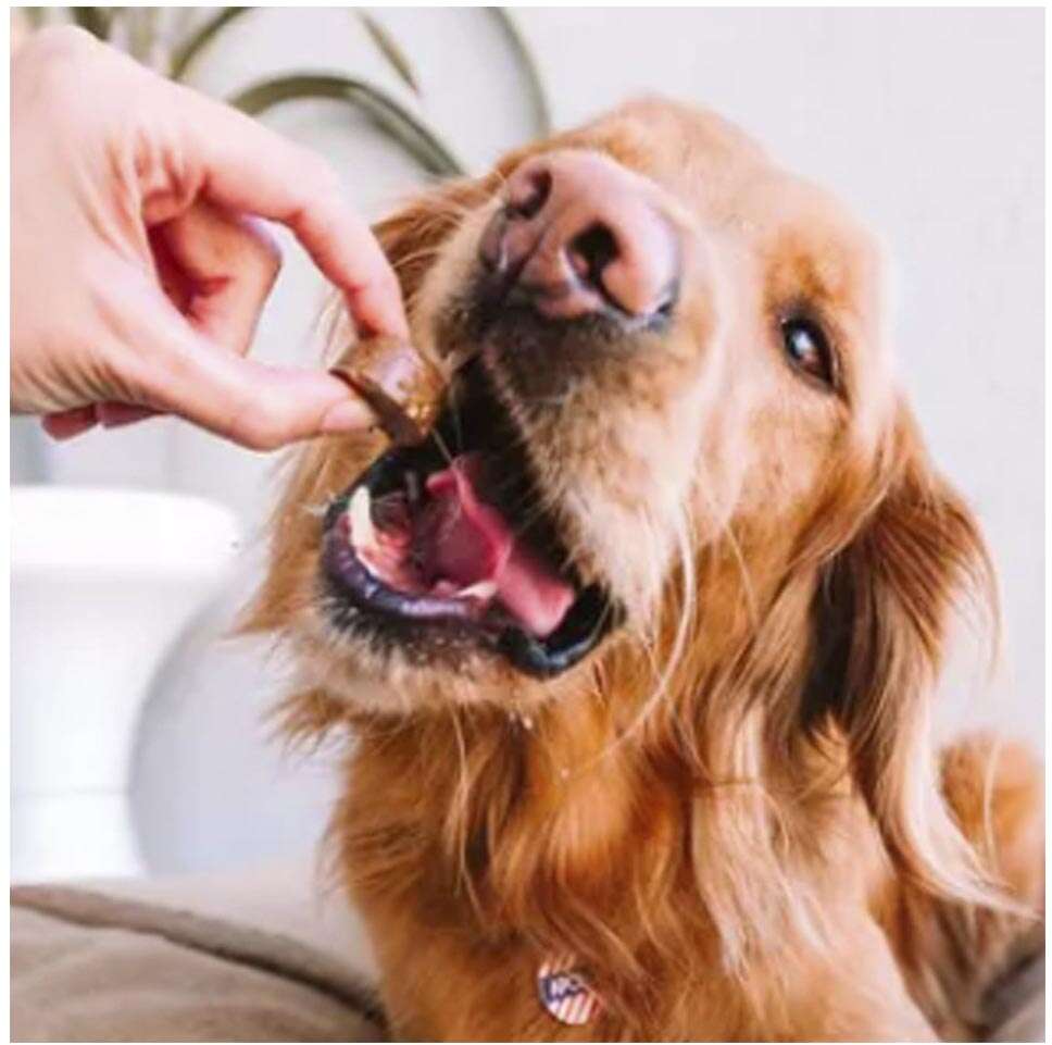 Antipulgas e Carrapatos Bravecto 500 mg para Cães de 10 a 20Kg - 1 Comprimido