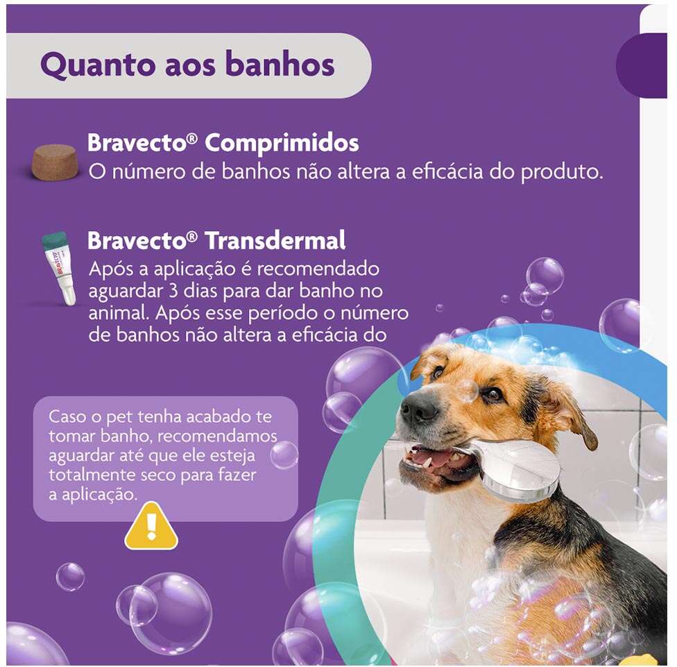 Antipulgas e Carrapatos Bravecto 500 mg para Cães de 10 a 20Kg - 1 Comprimido