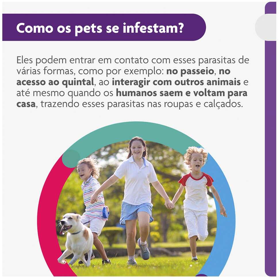Antipulgas e Carrapatos Bravecto 500 mg para Cães de 10 a 20Kg - 1 Comprimido