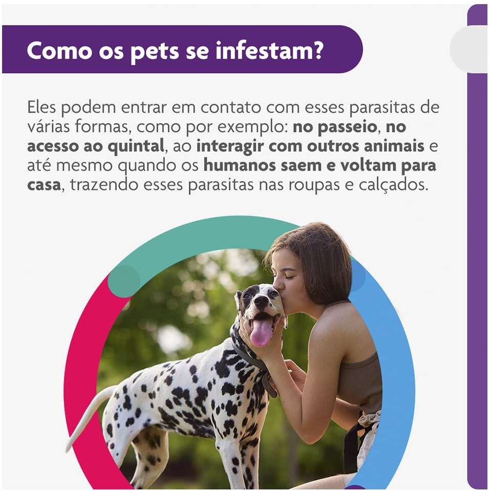 Antipulgas e Carrapatos Bravecto 1000 mg para Cães de 20 a 40Kg - 1 Comprimido