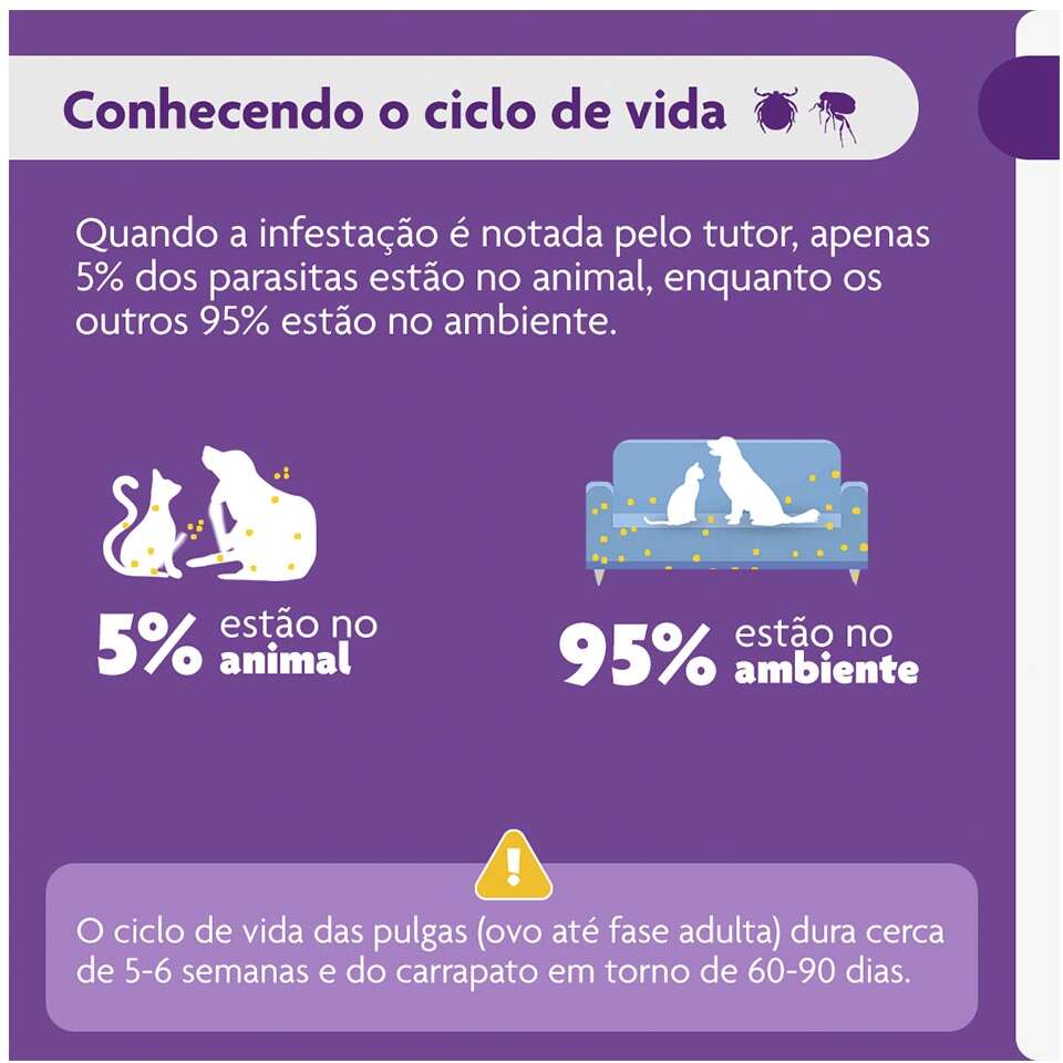 Antipulgas e Carrapatos Bravecto 1000 mg para Cães de 20 a 40Kg - 1 Comprimido