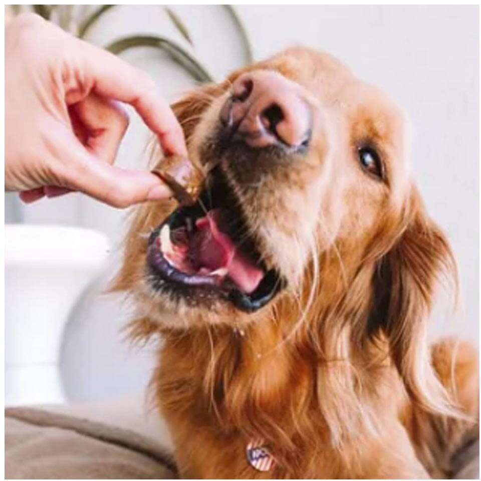 Antipulgas e Carrapatos Bravecto 1400 mg para Cães de 40 a 56Kg - 1 Comprimido