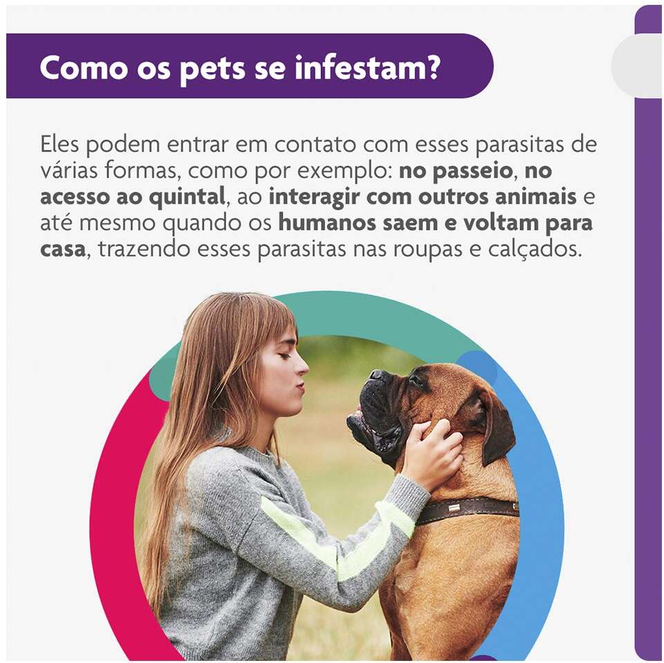 Antipulgas e Carrapatos Bravecto 1400 mg para Cães de 40 a 56Kg - 1 Comprimido