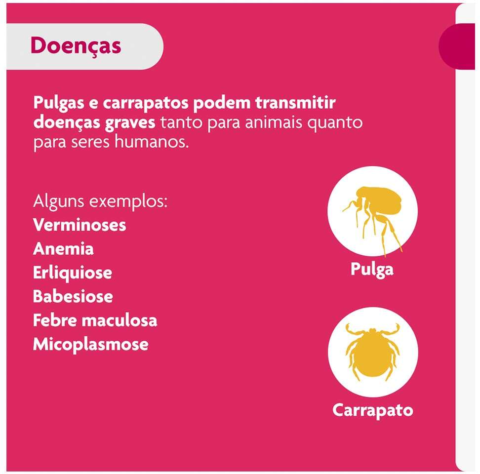 Antipulgas e Carrapatos Bravecto Transdermal 112,5 mg para Cães de 2 a 4,5Kg - 1 Pipeta