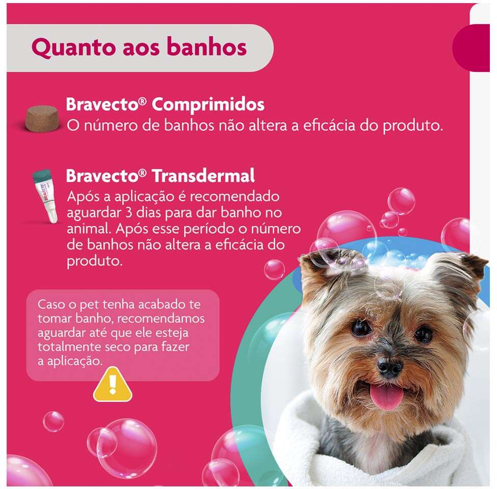 Antipulgas e Carrapatos Bravecto Transdermal 112,5 mg para Cães de 2 a 4,5Kg - 1 Pipeta