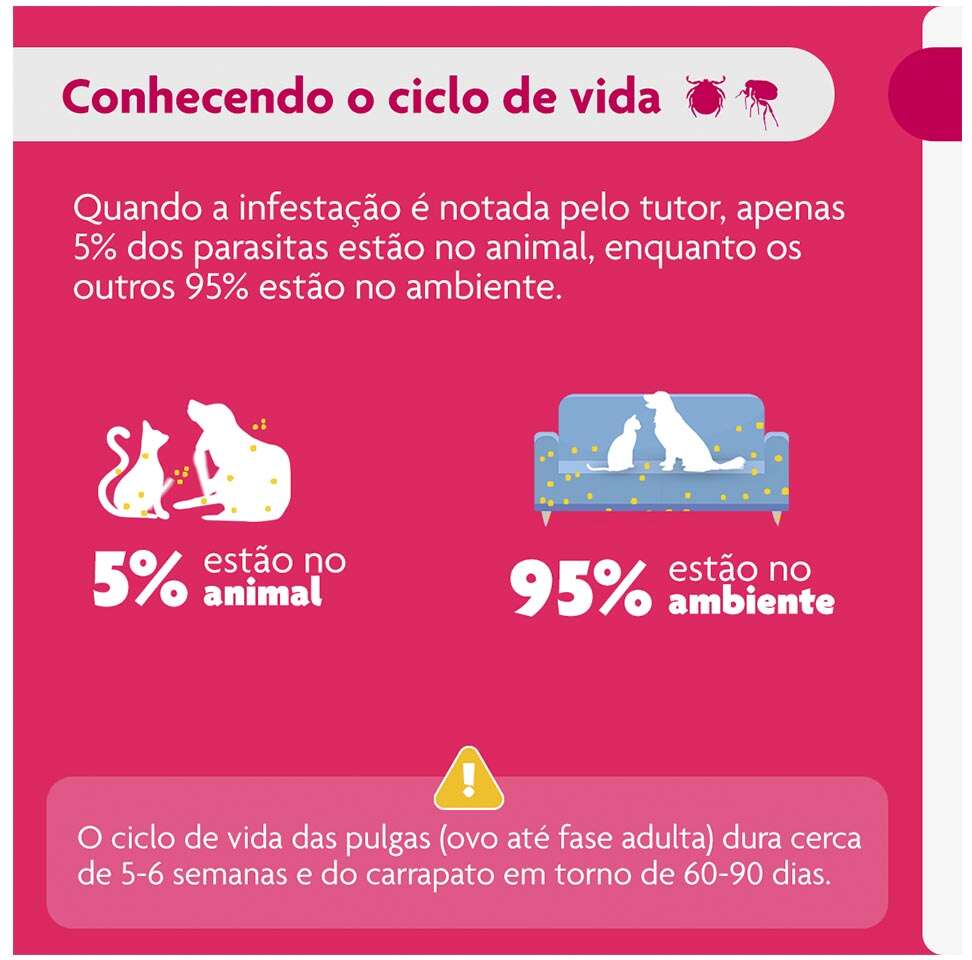 Antipulgas e Carrapatos Bravecto Transdermal 112,5 mg para Cães de 2 a 4,5Kg - 1 Pipeta