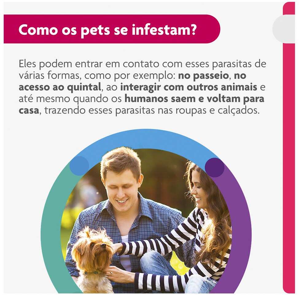 Antipulgas e Carrapatos Bravecto Transdermal 112,5 mg para Cães de 2 a 4,5Kg - 1 Pipeta