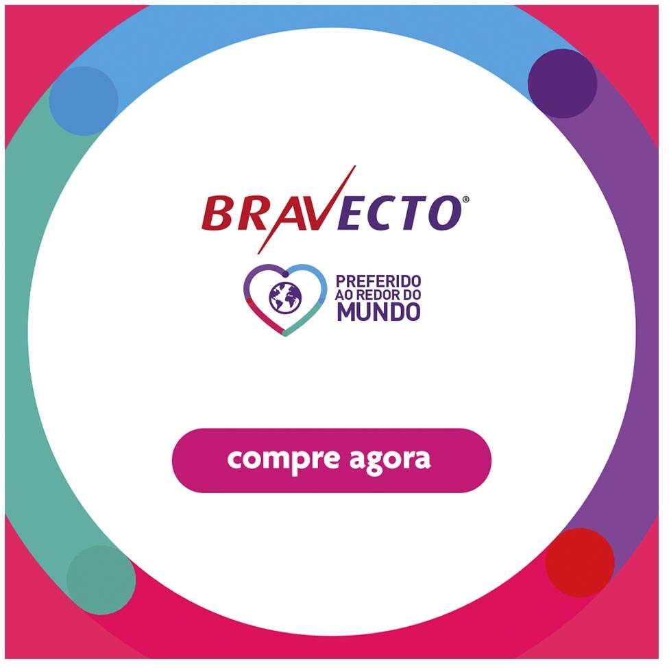 Antipulgas e Carrapatos Bravecto Transdermal 250 mg para Cães de 4,5 a 10Kg - 1 Pipeta