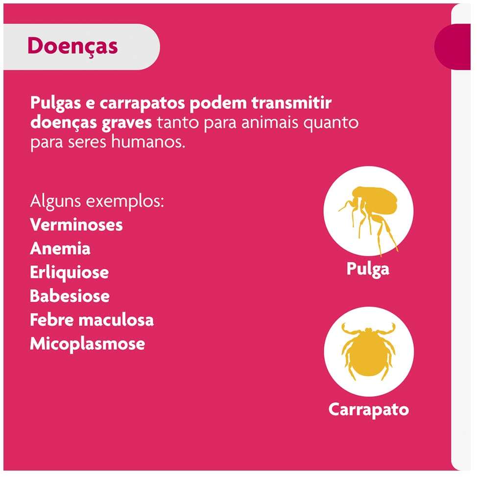 Antipulgas e Carrapatos Bravecto Transdermal 250 mg para Cães de 4,5 a 10Kg - 1 Pipeta