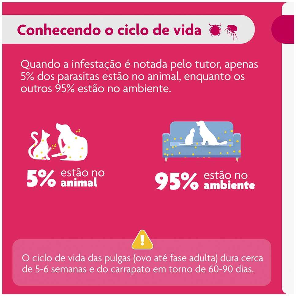Antipulgas e Carrapatos Bravecto Transdermal 250 mg para Cães de 4,5 a 10Kg - 1 Pipeta