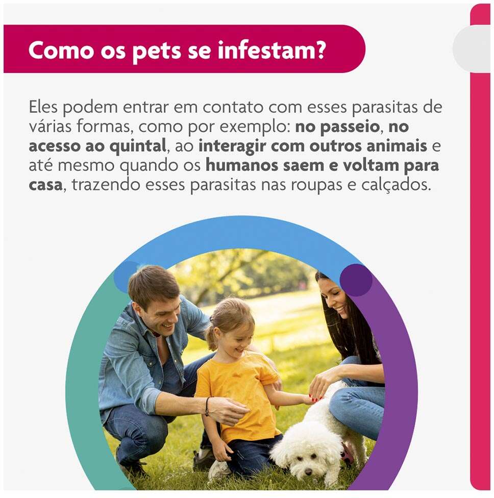 Antipulgas e Carrapatos Bravecto Transdermal 250 mg para Cães de 4,5 a 10Kg - 1 Pipeta