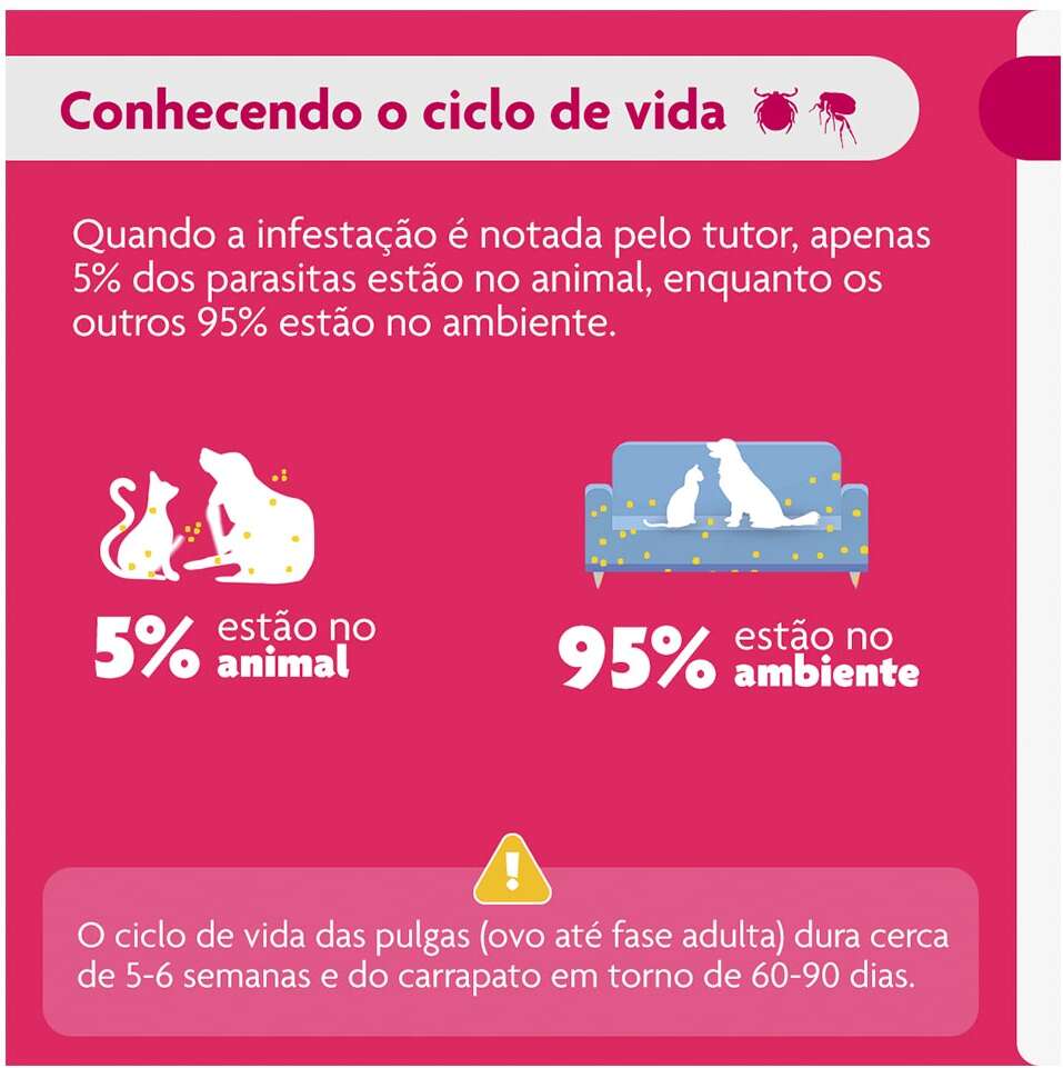 Antipulgas e Carrapatos Bravecto Transdermal 500 mg para Cães de 10 a 20Kg - 1 Pipeta