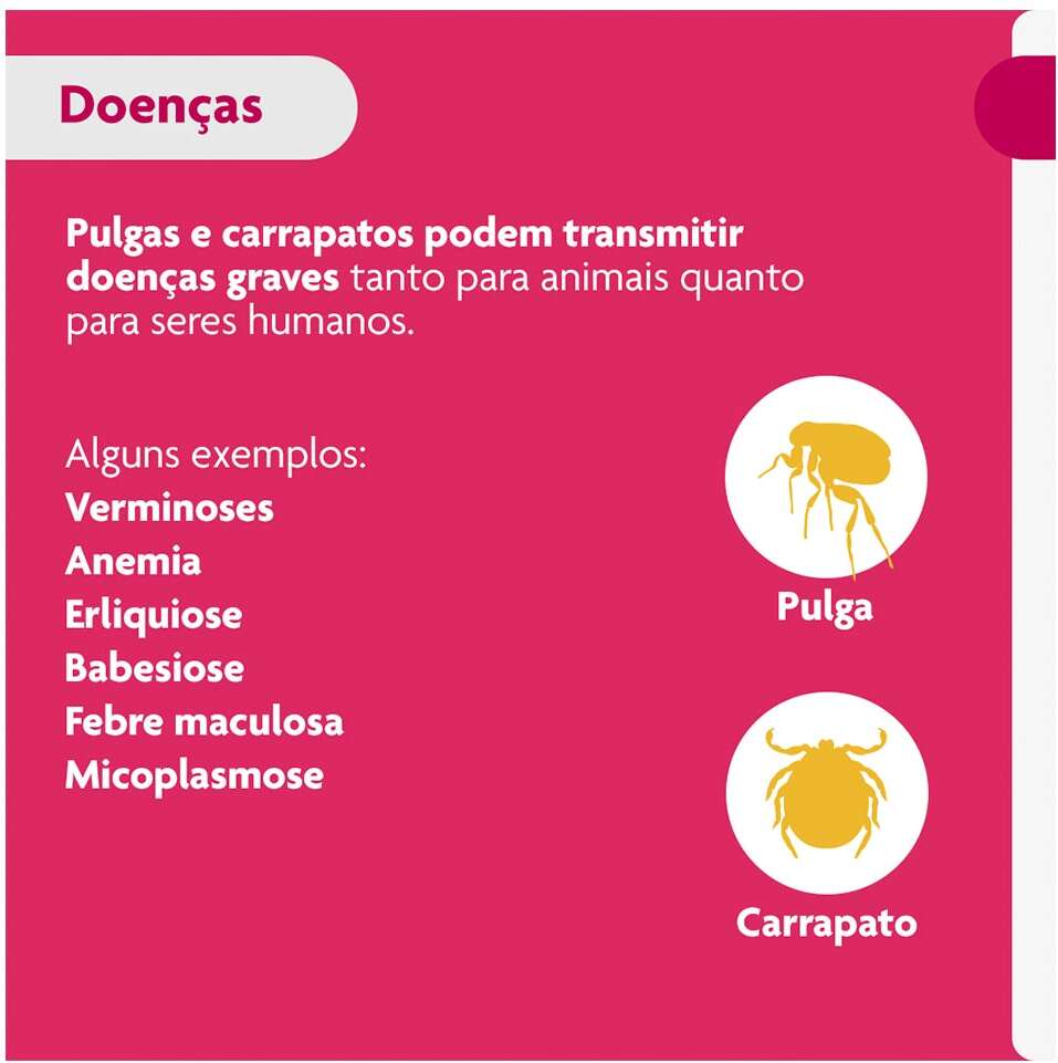 Antipulgas e Carrapatos Bravecto Transdermal 500 mg para Cães de 10 a 20Kg - 1 Pipeta