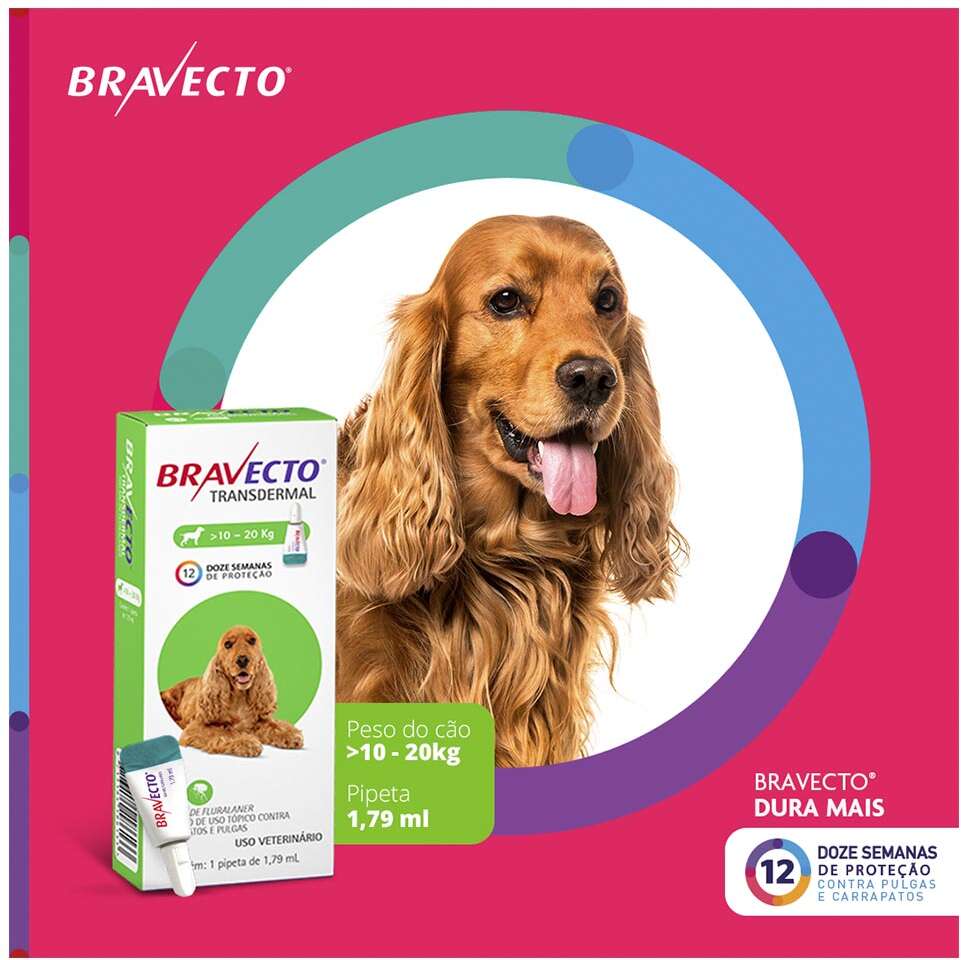 Antipulgas e Carrapatos Bravecto Transdermal 500 mg para Cães de 10 a 20Kg - 1 Pipeta