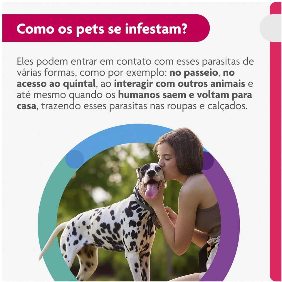 Antipulgas e Carrapatos Bravecto Transdermal 1000 mg para Cães de 20 a 40Kg - 1 Pipeta