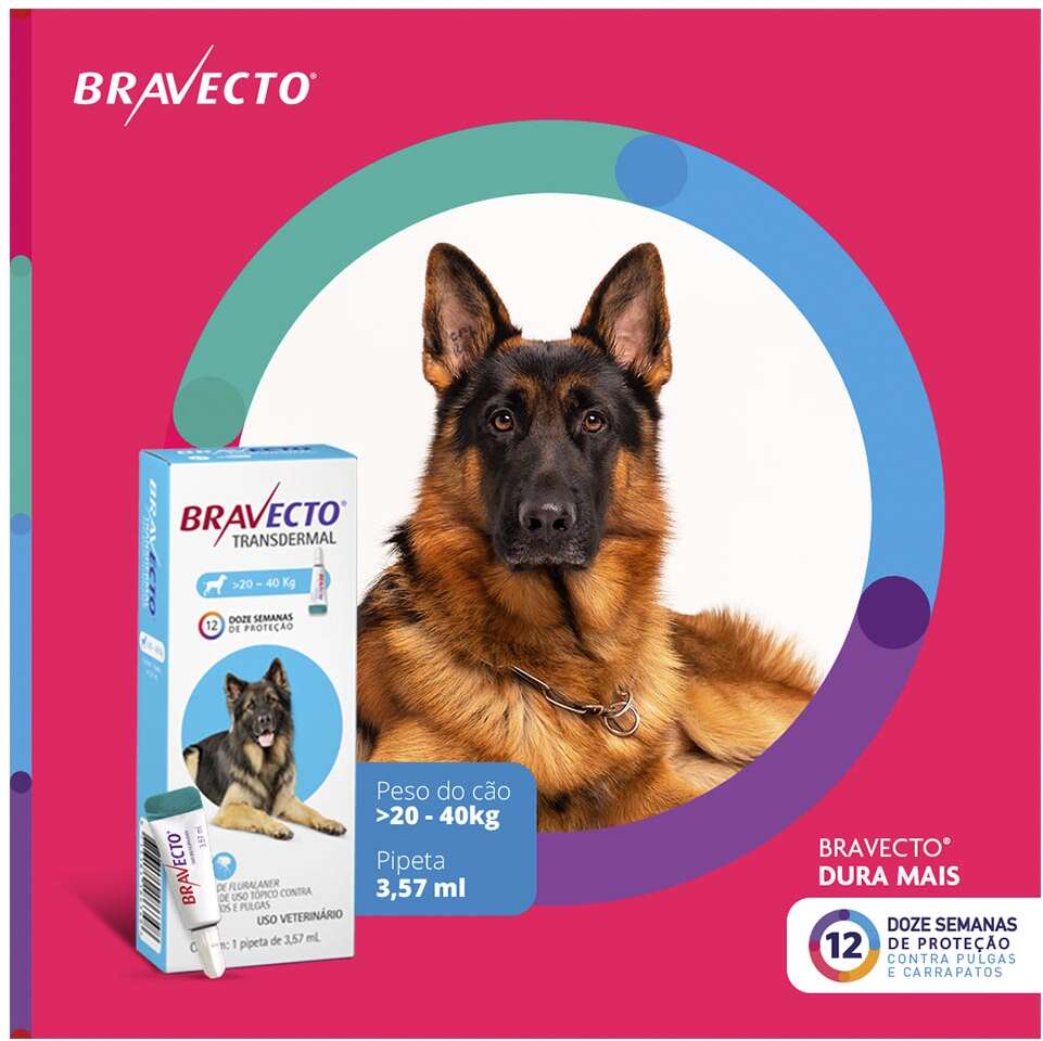 Antipulgas e Carrapatos Bravecto Transdermal 1000 mg para Cães de 20 a 40Kg - 1 Pipeta