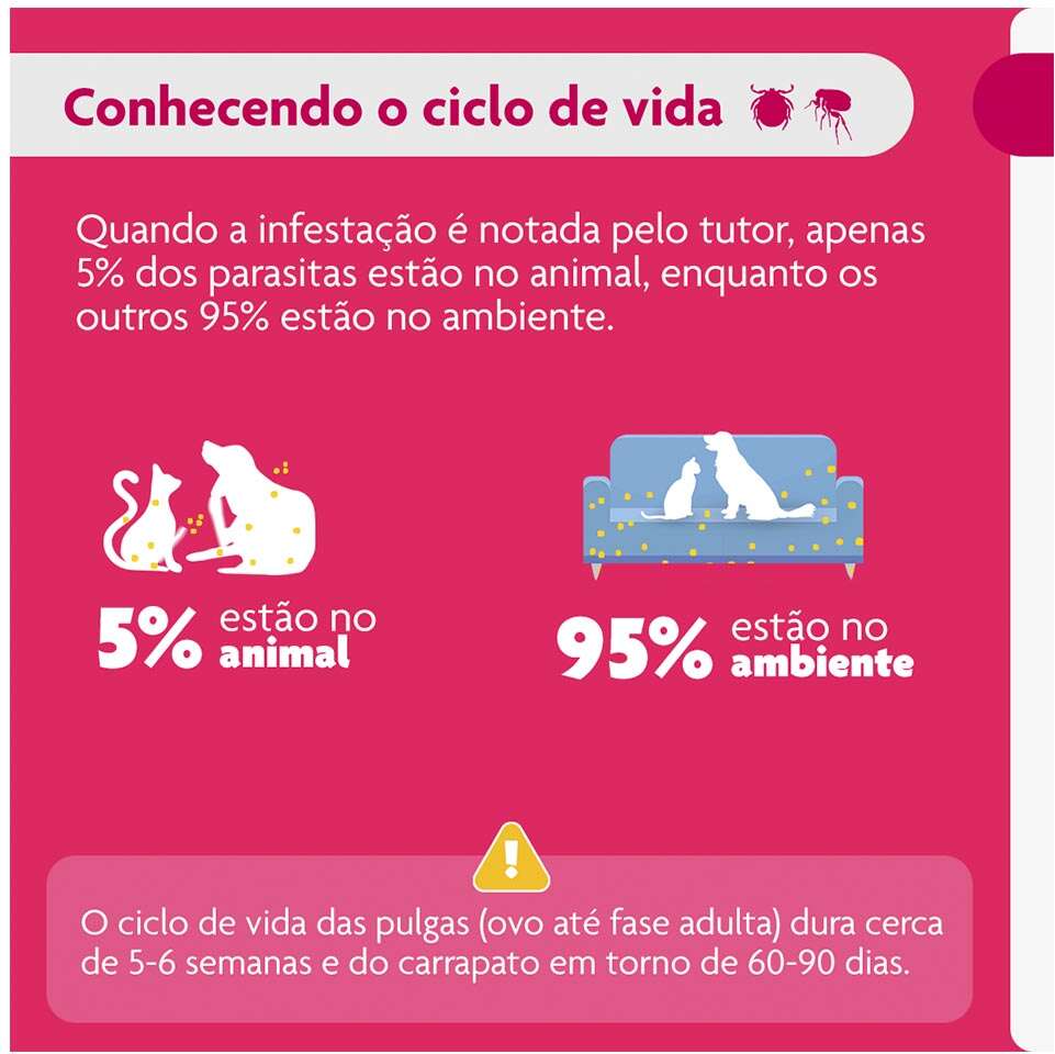 Antipulgas e Carrapatos Bravecto Transdermal 1400 mg para Cães de 40 a 56Kg - 1 Pipeta