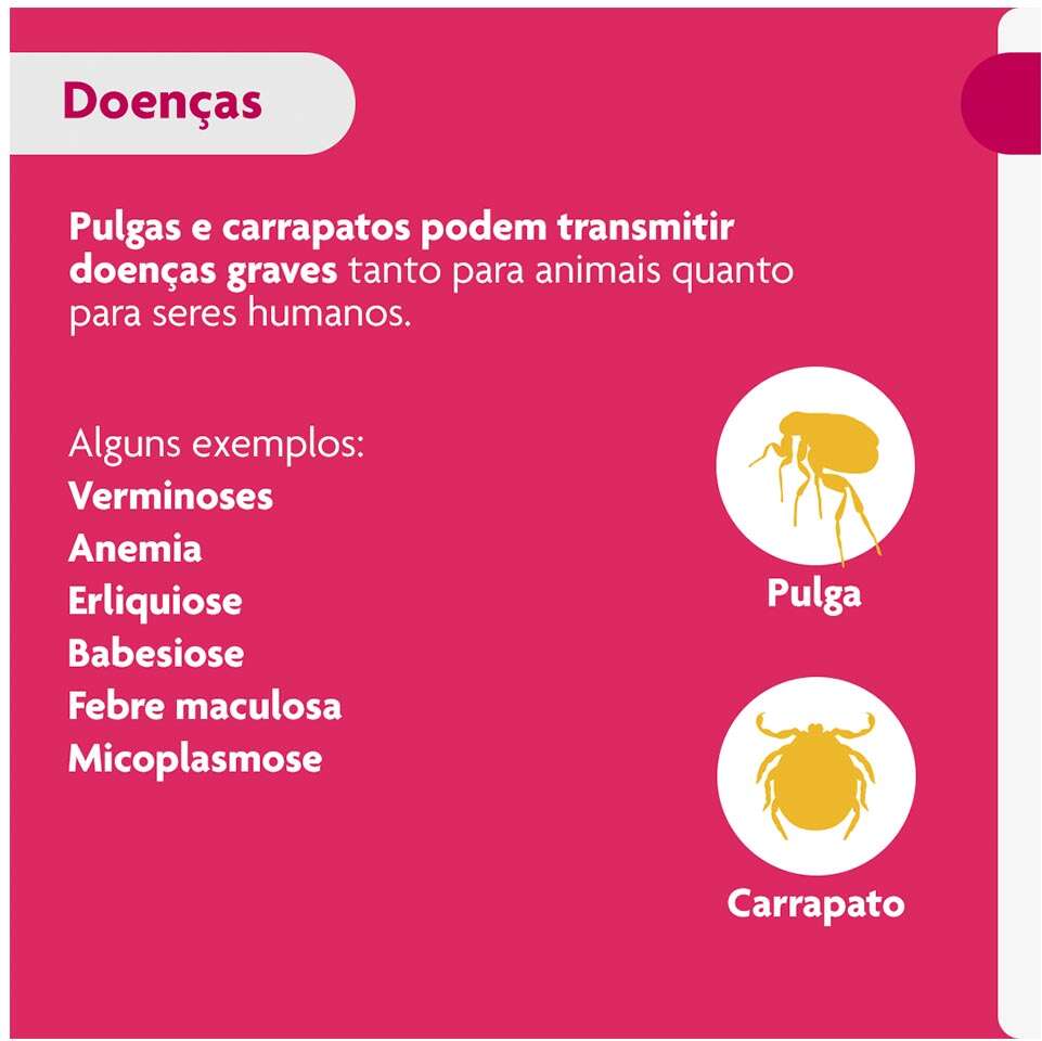 Antipulgas e Carrapatos Bravecto Transdermal 1400 mg para Cães de 40 a 56Kg - 1 Pipeta