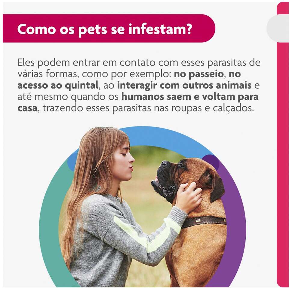 Antipulgas e Carrapatos Bravecto Transdermal 1400 mg para Cães de 40 a 56Kg - 1 Pipeta