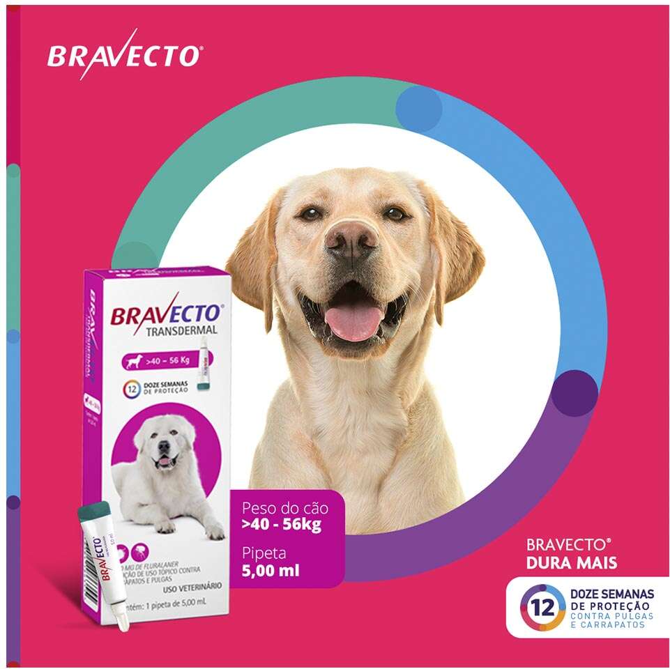 Antipulgas e Carrapatos Bravecto Transdermal 1400 mg para Cães de 40 a 56Kg - 1 Pipeta