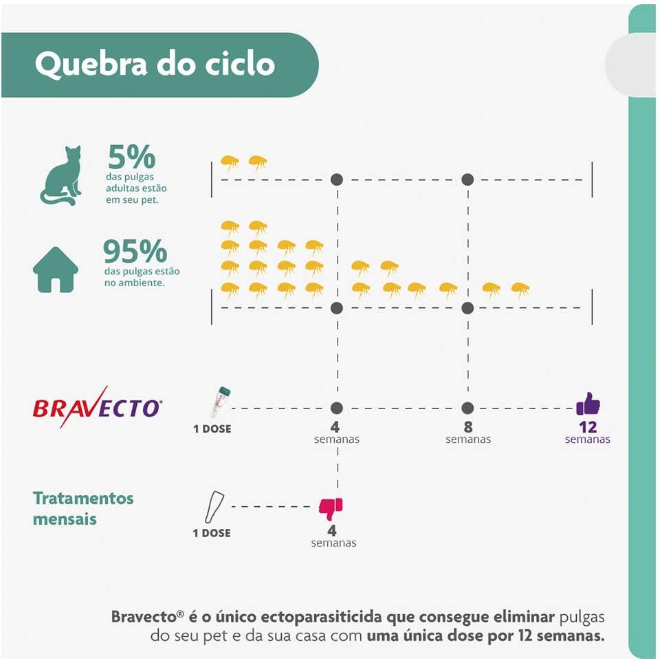 Antipulgas Bravecto Transdermal 112,5 mg para Gatos de 1,2 a 2,8Kg - 1 Pipeta