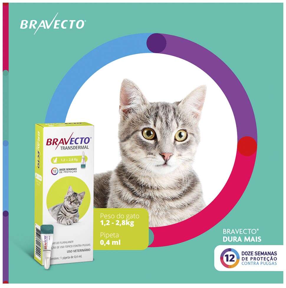 Antipulgas Bravecto Transdermal 112,5 mg para Gatos de 1,2 a 2,8Kg - 1 Pipeta