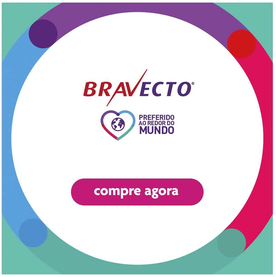 Antipulgas Bravecto Transdermal 112,5 mg para Gatos de 1,2 a 2,8Kg - 1 Pipeta